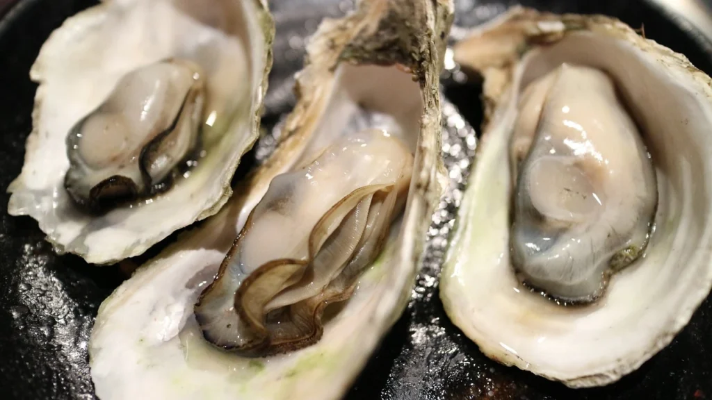 What Do Oysters Eat