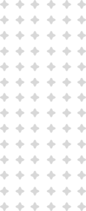 pattern v 123x300 1 Animals District